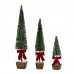 POTTED TREE (SET OF 3) 20.75''H,31''H,39''H